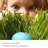 Osternest