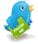 twitter