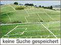 keine Suche gespeichert